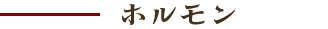 ホルモン